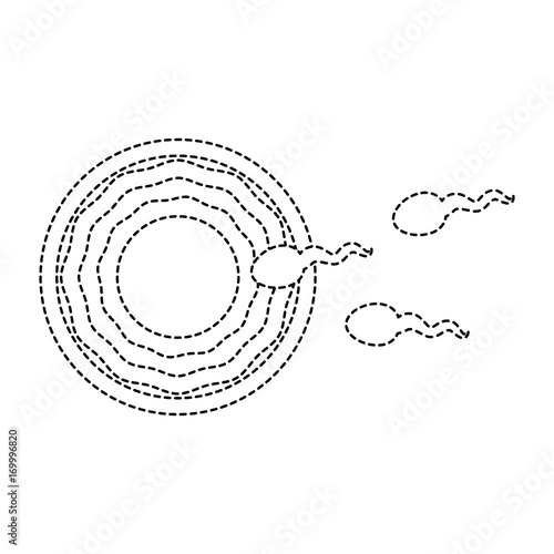 Fertilization of the ovum vector illustration design