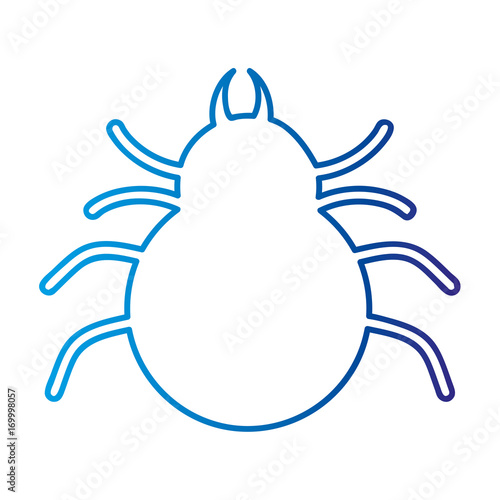 spider silhouette isolated icon vector illustration design