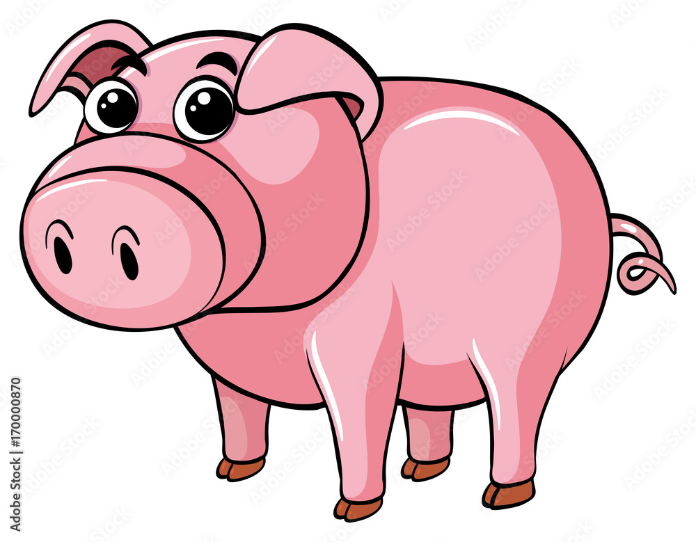 Fototapeta premium Cute pig on white background