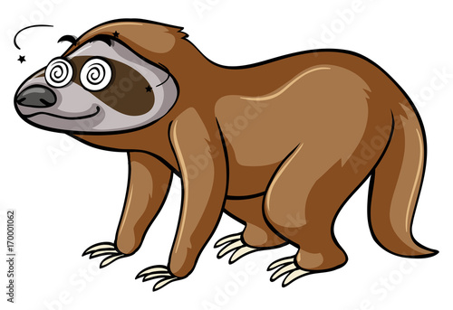 Sloth with dizzy eyes