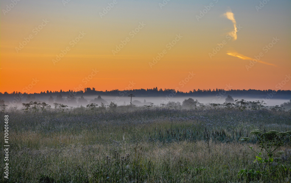 Summer dawn Summer dawn