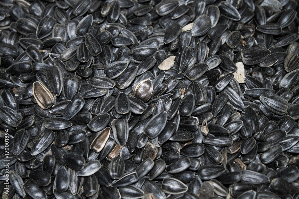 Sunflower seeds in the bag and on the palm Sunflower seeds in the bag and on the palm