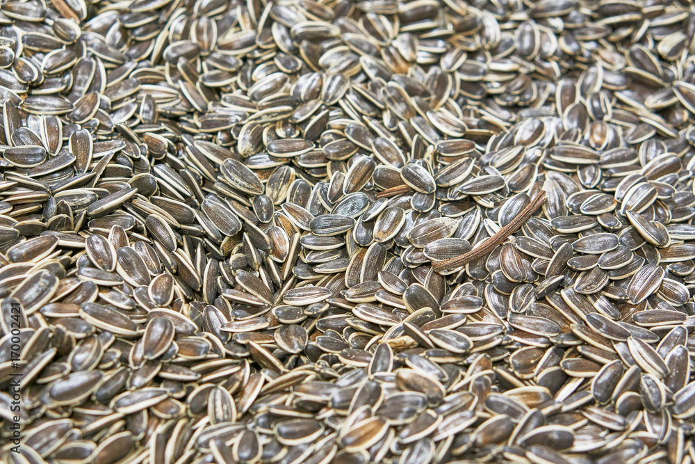 Background of sunflower seeds in the store.