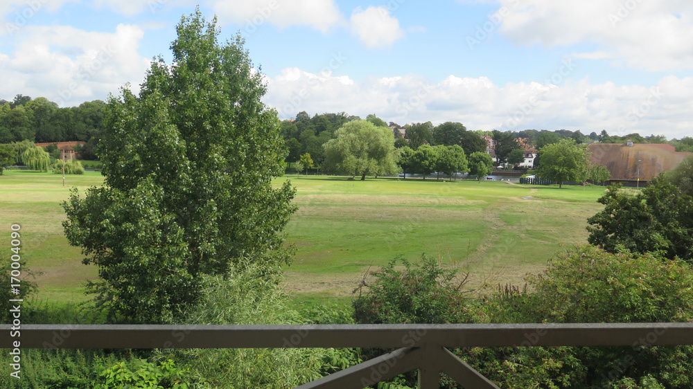 Obraz premium Meadows at River Thames