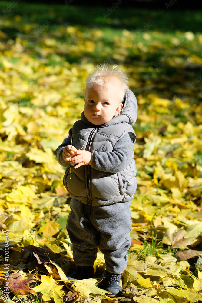 Baby boy with yellow autumn maple leaf Baby boy with yellow autumn maple leaf