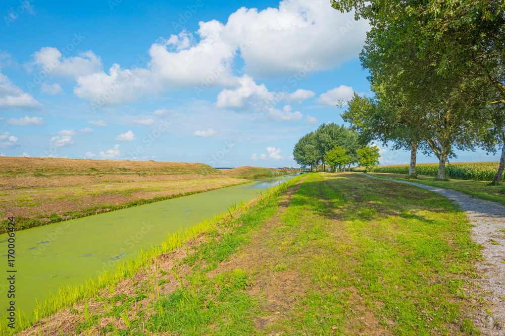Shore of a canal through the countryside in summer Shore of a canal through the countryside in summer