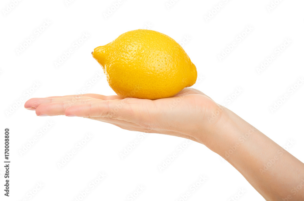 female hand holding lemon. Isolated on white background female hand holding lemon. Isolated on white background