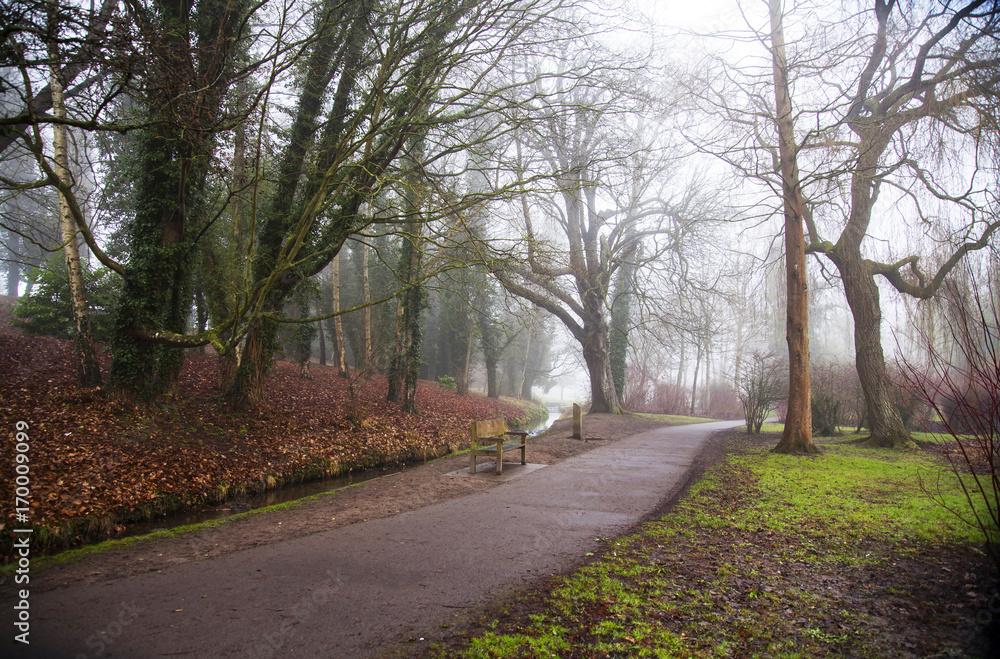 Mist in autumn park Mist in autumn park
