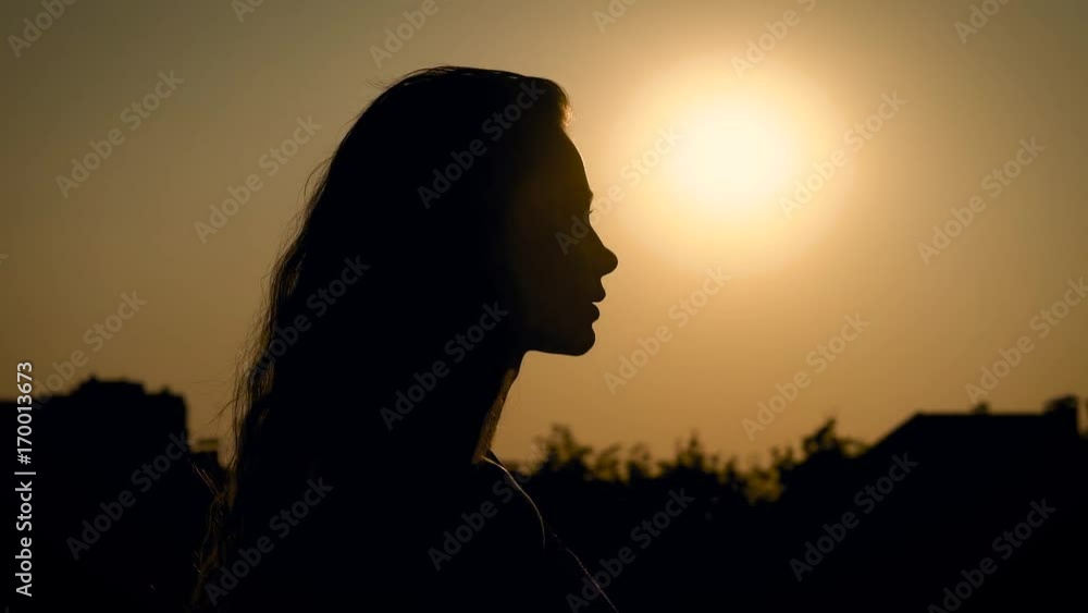 Silhouette of a woman with curly hair who walks along the park, in the background of various trees and houses, the sun is visible in the sky Silhouette of a woman with curly hair who walks along the park, in the background of various trees and houses, the sun is visible in the sky