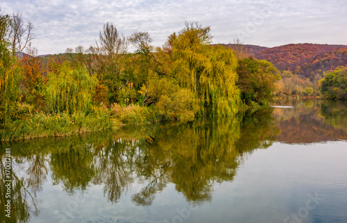 river in mountains among the forest in autumn