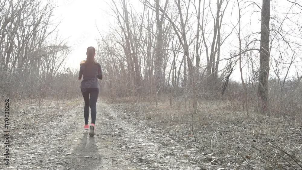 Rear view of young woman running on footpath amidst bare trees. Determined female is in sportswear. Confident runner jogging in countryside. She is representing her healthy lifestyle. Rear view of young woman running on footpath amidst bare trees. Determined female is in sportswear. Confident runner jogging in countryside. She is representing her healthy lifestyle.