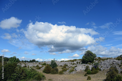 larzac photo