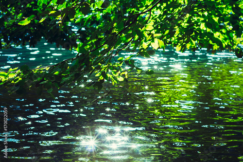 Beautiful emerald lake  surrounded with lush trees  bright sunlight sparkling on water surface