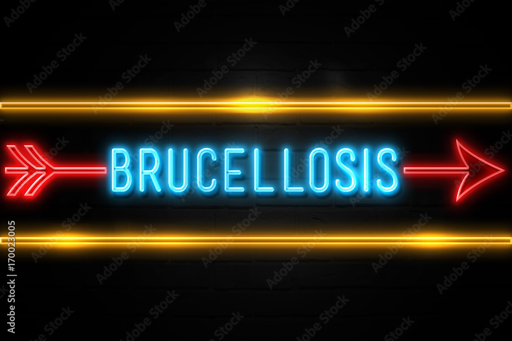 Brucellosis - fluorescent Neon Sign on brickwall Front view Brucellosis - fluorescent Neon Sign on brickwall Front view