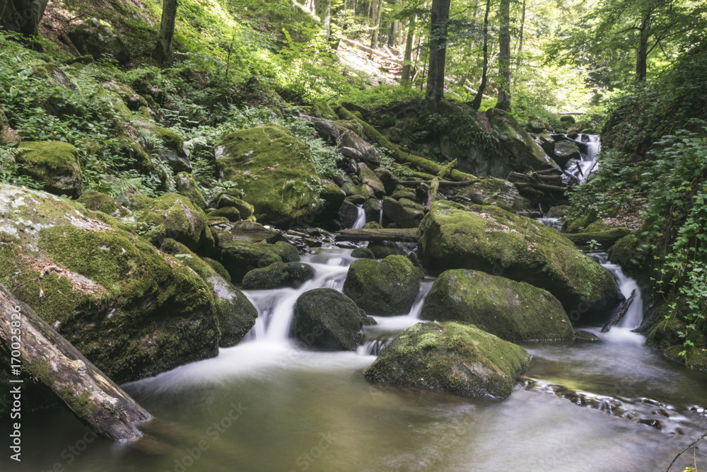 Forest waterfall , deep in forests of mountain Cemernik Forest waterfall , deep in forests of mountain Cemernik
