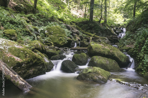 Forest waterfall , deep in forests of mountain Cemernik