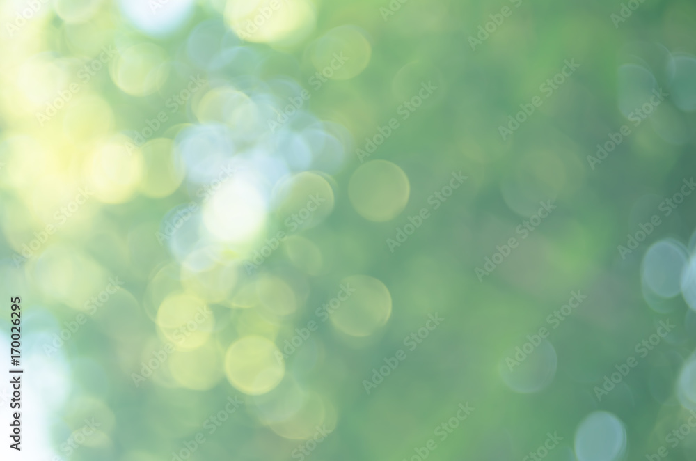 Copy space of nature green bokeh sun light flare and blur leaf abstract texture background. - obrazy, fototapety, plakaty 