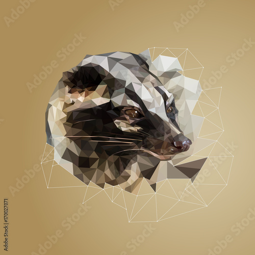 polygonal portrait of a civet (Viverra),  vector 