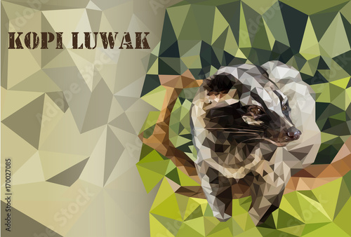 polygonal civet (Viverra), kopi luwak theme,  vector 