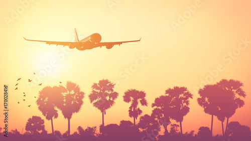 Airplane flying over tropical palm tree and sunset sky abstract background. © tonktiti