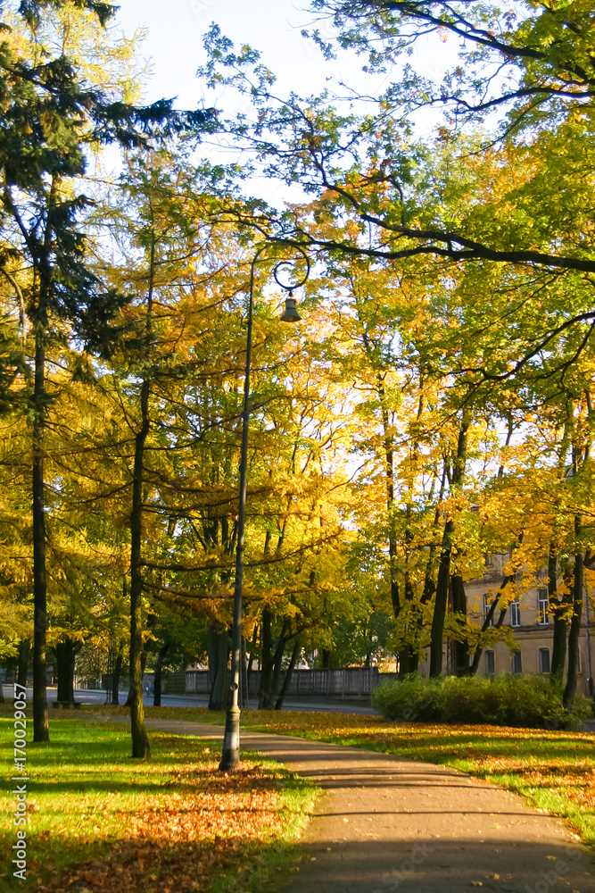 A beautiful scenery of  autumn in nordic European country.