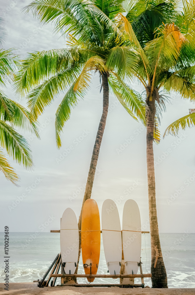Fototapeta premium Surfboard and palm tree on beach background.