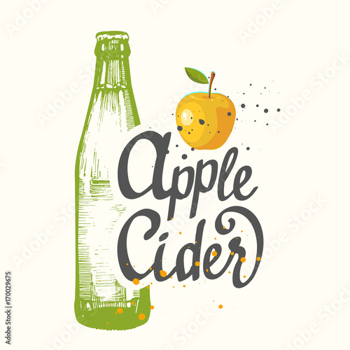 Drink menu. Vector illustration with cider apple bottle in sketch style for pub. Alcoholic beverages.