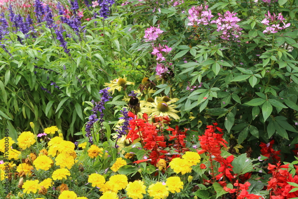 Summer Garden, Ziergarten im Sommer