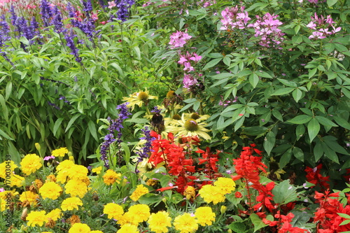 Obraz na płótnie Summer Garden, Ziergarten im Sommer w salonie