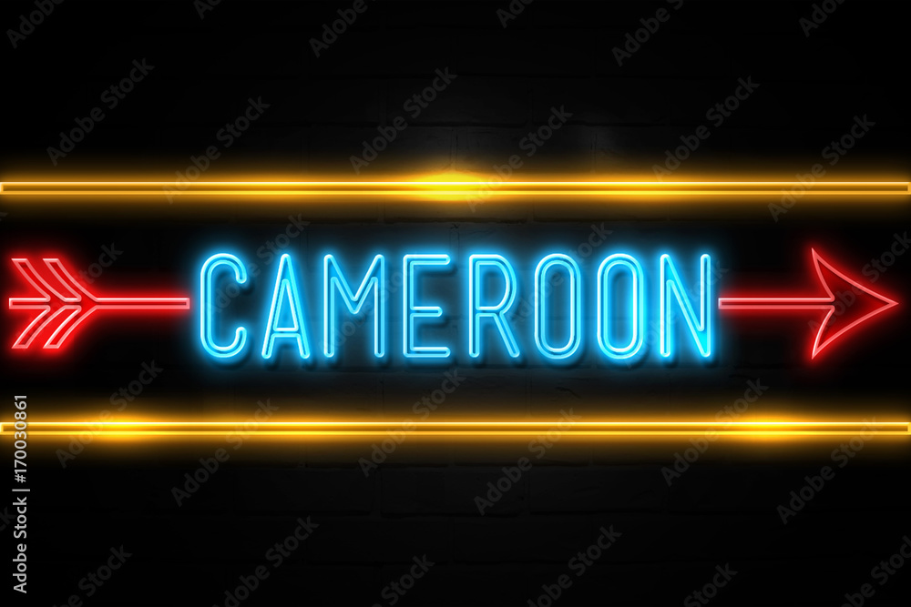 Cameroon  - fluorescent Neon Sign on brickwall Front view