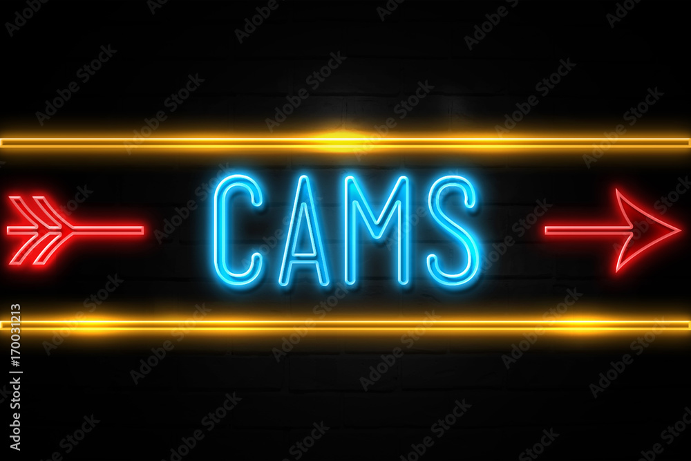 Cams - fluorescent Neon Sign on brickwall Front view Cams - fluorescent Neon Sign on brickwall Front view