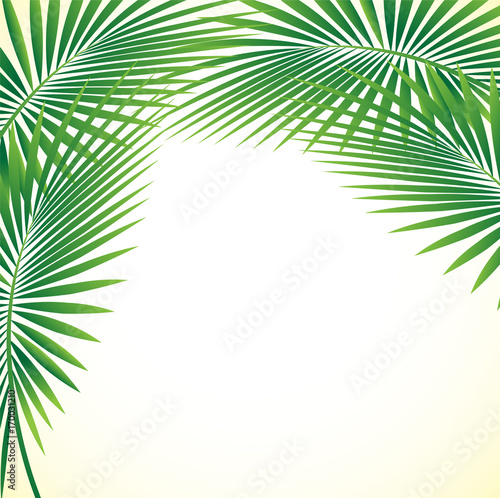 Palm Leaf Vector Background Illustration EPS10