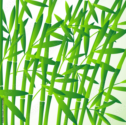 Naklejka Chińskiej lub japońskiej bambusowej trawy tapety wektoru orientalna ilustracyjna ilustracja. Tropikalny azjatykci rośliny tło