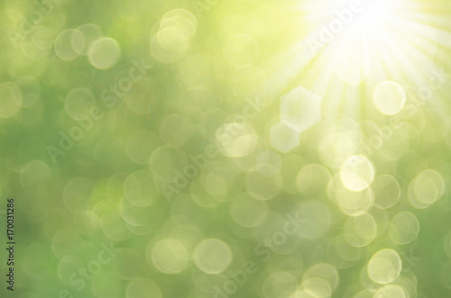 Copy space of nature green bokeh sun light flare and blur leaf abstract texture background.