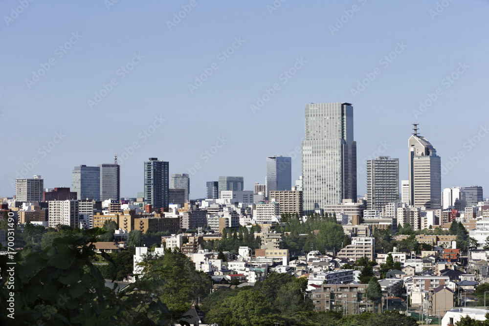 Fototapeta premium 仙台市全景
