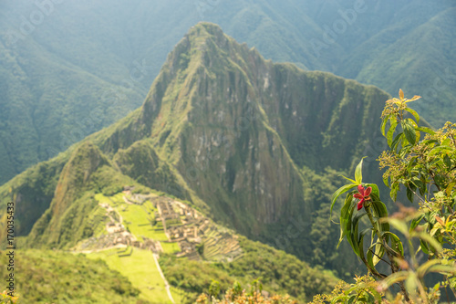 Obraz na plátně Blume vor Machu Picchu