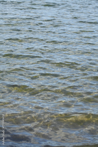 Schäumendes Wasser mit Gräsern an einem Seeufer