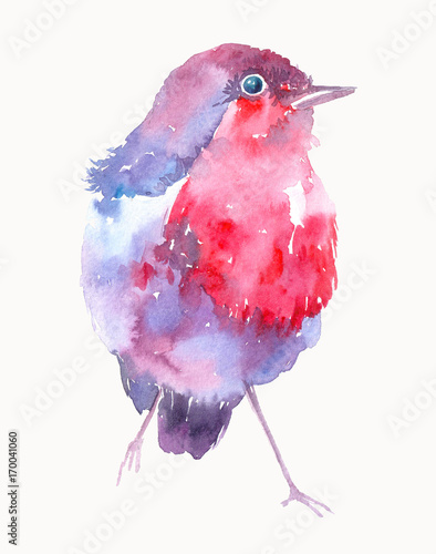 Foto Watercolor illustration with bird.