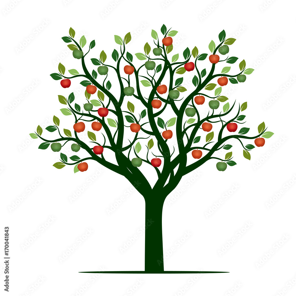Naklejka Drzewo koloru z liśćmi i jabłkami. Ilustracja wektorowa.