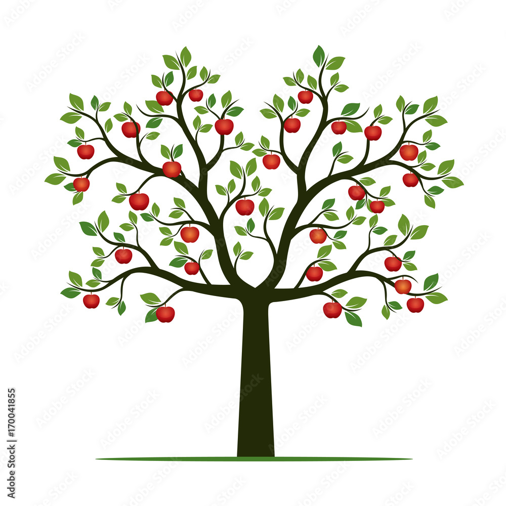 Naklejka Green Tree with Leaves and red Apples. Vector Illustration.