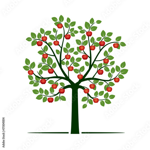 Naklejka Zielone drzewo z czerwonymi jabłkami. Ilustracja wektorowa.