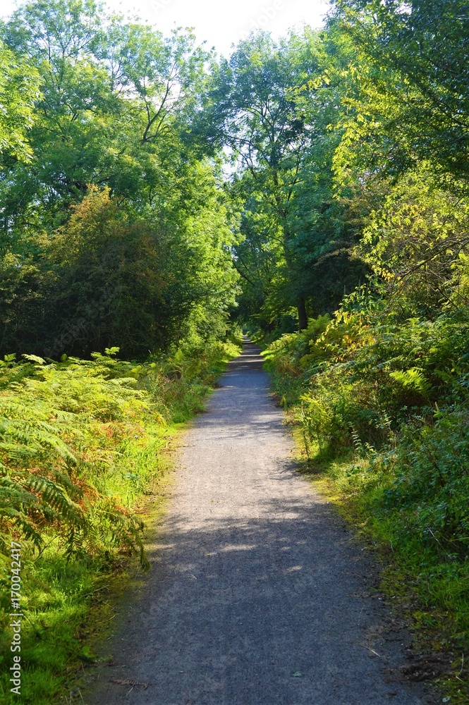 A nature trail in the English Peak District, 