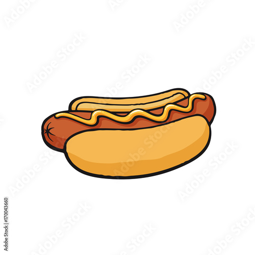 Vector illustration. Hot dog with mustard. Sausage with bread bun. Image in cartoon style with contour. Sausage in a bun. Unhealthy food. Isolated on white background