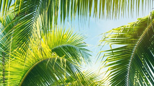 Copy space of tropical palm tree with sun light on sky background.