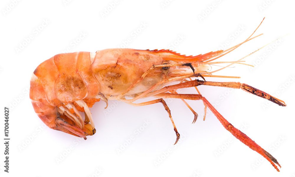 custom made wallpaper toronto digitalGrilled river shrimp isolated on white background, Prawns