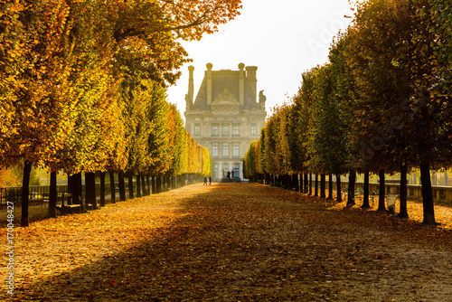 Fotomurale Automne au jardin des Tuileries avec vue sur le musée du Louvre