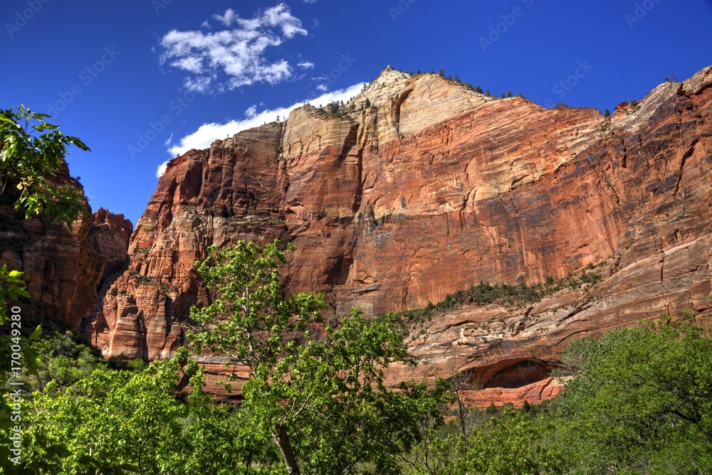 Walls of Zion Canyon From Big Bend