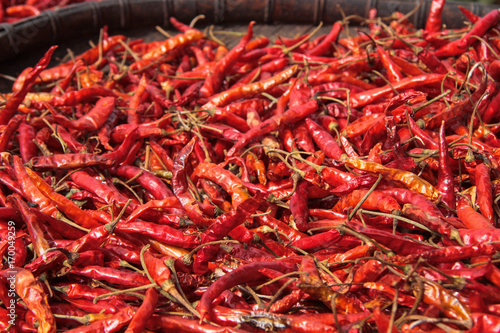 Drying red chili peppers, Bokeo province, northern Laos.