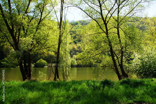 gr  ne Landschaft im April bei Kr  v an der Mosel  