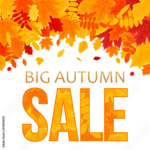 Autumn Sale. Vector Background with Foliage. Vector Illustration Banner.